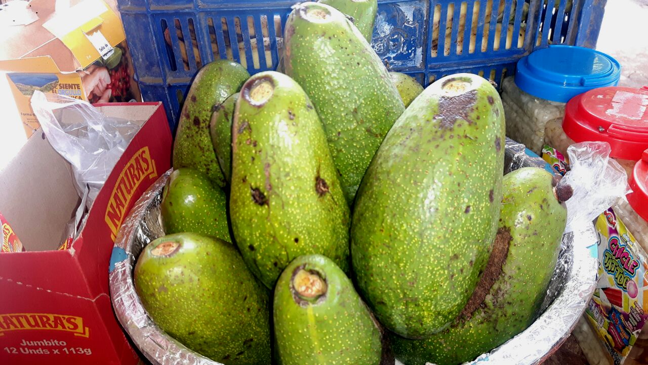 verduras